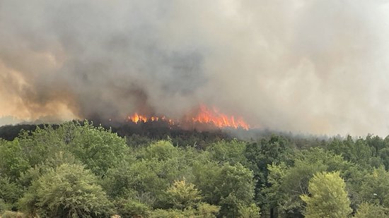 Заместник-министър Маринов се запозна на място със ситуацията във връзка с продължаващия голям пожар в Средна гора в област Пловдив